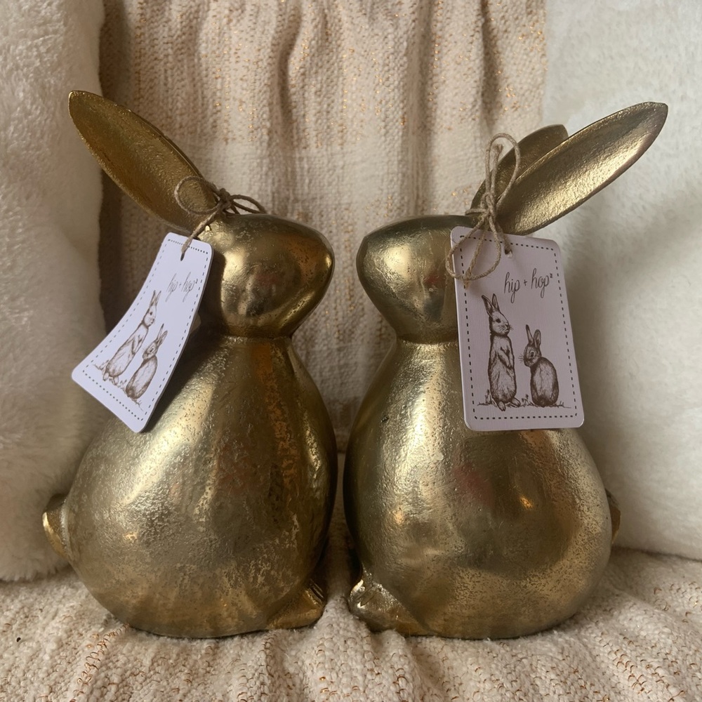 Hip and Hop bunny pair